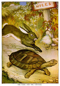 hareandtortoise 209x300 learning to do less