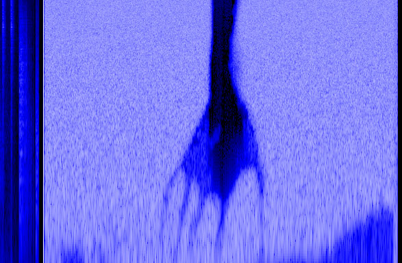 myviolentheart-spectogram